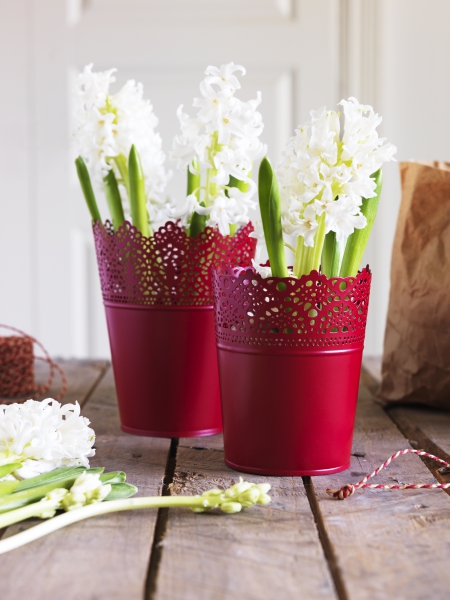 IKEA宜家家居從2月6日起至3月5日推出 「絕版品出清」